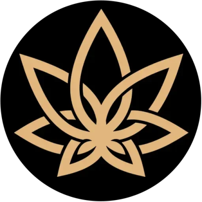 3Chi Coupon Codes & Discounts