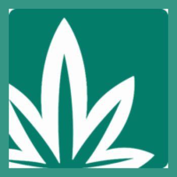Buymyweedusa Coupon Codes & Discounts