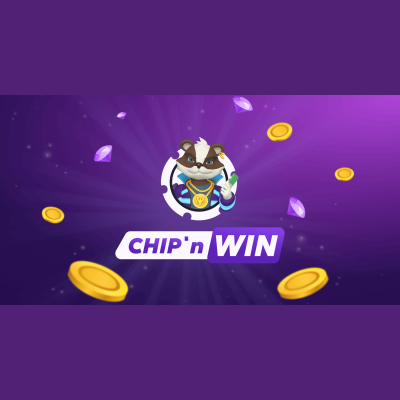 Chipnwin Coupon Codes & Discounts
