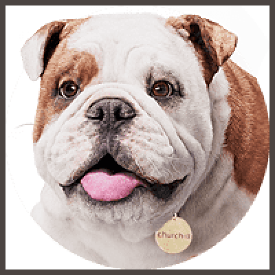 Churchill Coupon Codes & Discounts