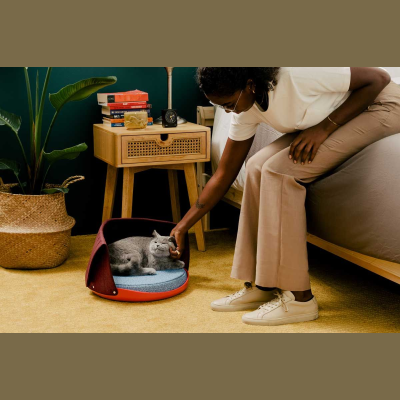 Cat Person Coupon Codes & Discounts