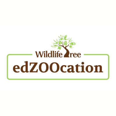 Edzoocation Coupon Codes & Discounts