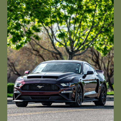 Empireautoprotect Coupon Codes & Discounts