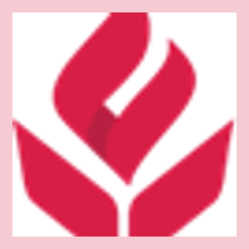 Lumiere Education Coupon Codes & Discounts