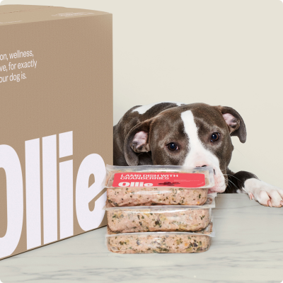 Myollie Coupon Codes & Discounts