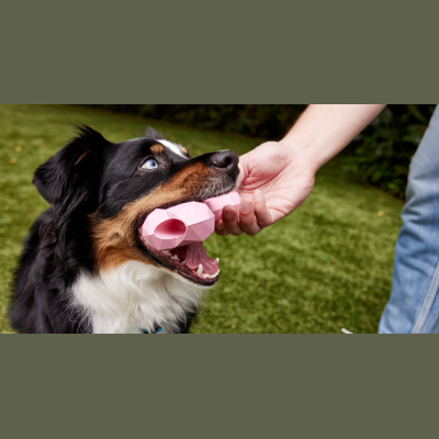 Pet Honesty Coupon Codes & Discounts