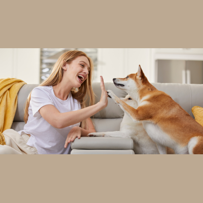 Petsmont Coupon Codes & Discounts