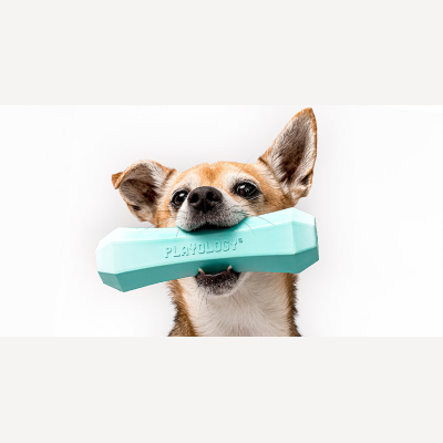 Playology Pets Coupon Codes & Discounts