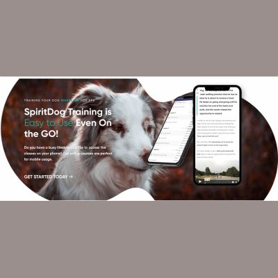 Spiritdogtraining Coupon Codes & Discounts